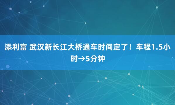 添利富 武汉新长江大桥通车时间定了！车程1.5小时→5分钟