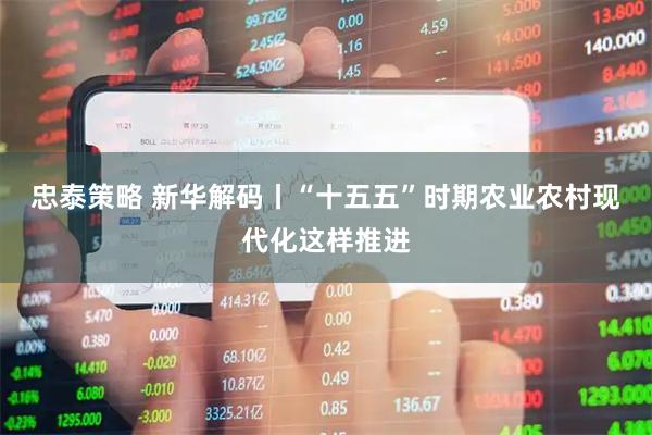 忠泰策略 新华解码丨“十五五”时期农业农村现代化这样推进