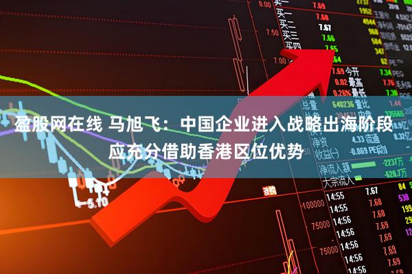 盈股网在线 马旭飞：中国企业进入战略出海阶段 应充分借助香港区位优势